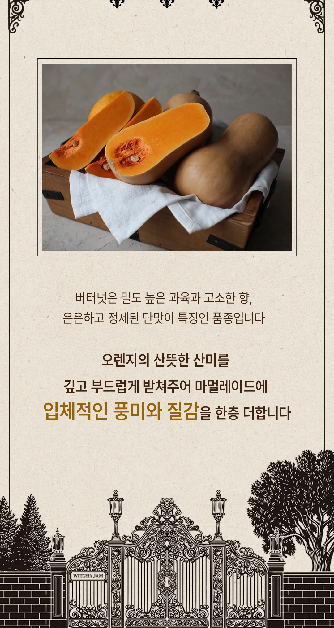 밀도 높은 과육과 고소한 향, 은은하고 정제된 단맛이 특징인 버터넛(땅콩호박) — 오렌지의 산미를 깊고 부드럽게 받쳐줍니다
